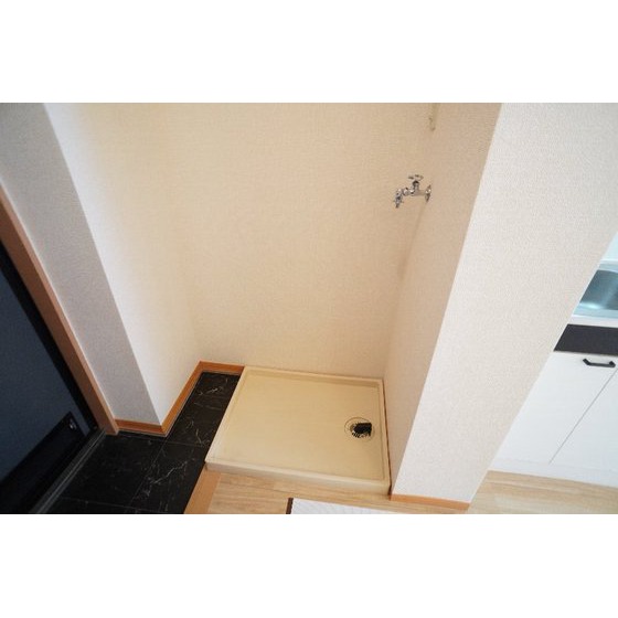 その他部屋・スペース　室内洗濯機置き場