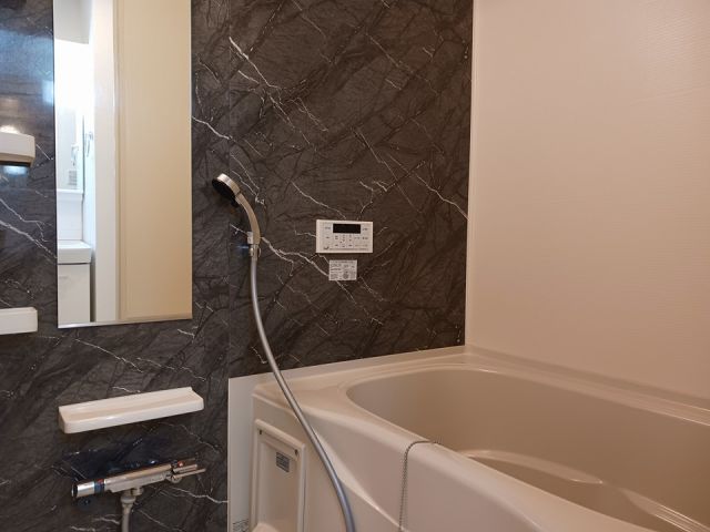 ヴィセオα_内装_2