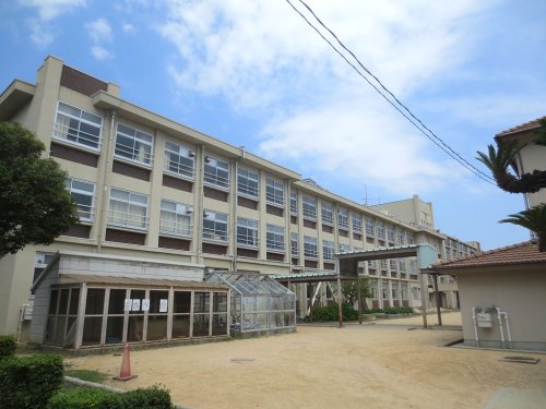 小学校　神戸市立住吉小学校（小学校）まで745m