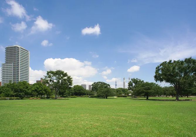 公園　木場公園（公園）まで695m