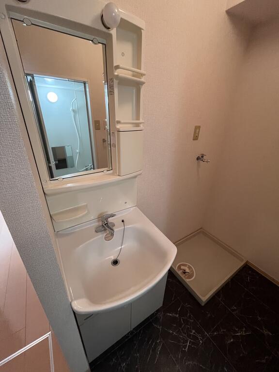 洗面設備　反転タイプのお部屋です