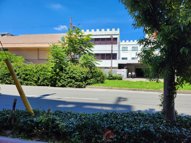 その他　周辺（その他）まで10m