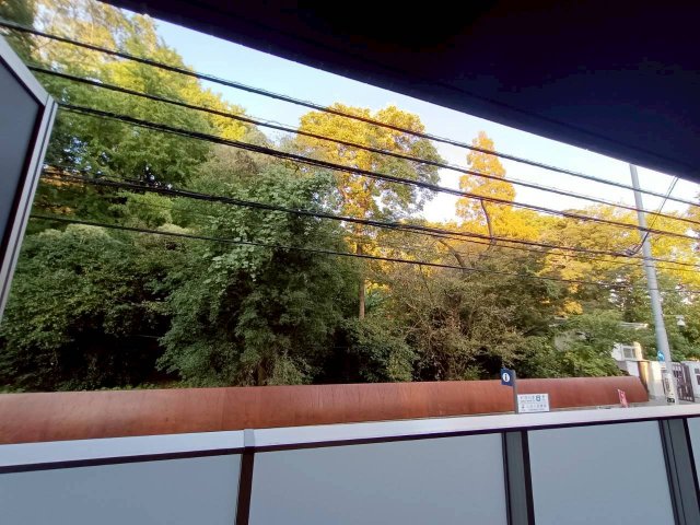 眺望　※別室参考写真です。