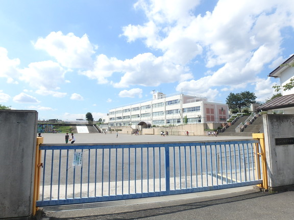 小学校　川崎市立新作小学校（小学校）まで494m