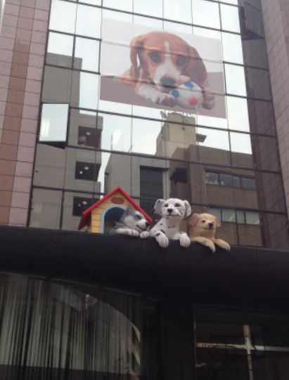 その他　日本動物専門学校（その他）まで1864m