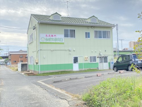 幼稚園・保育園　めばえ保育園（幼稚園・保育園）まで729m