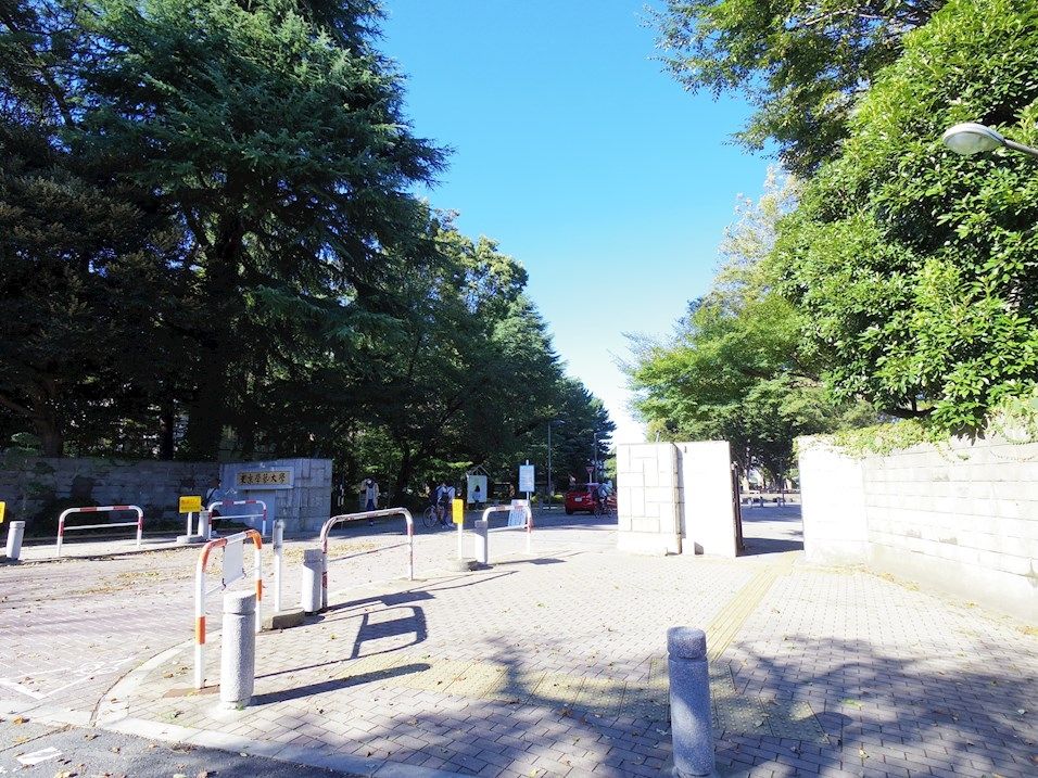 その他　国立東京学芸大学（その他）まで1768m