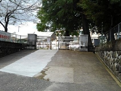 小学校　霧島市立向花小学校（小学校）まで800m