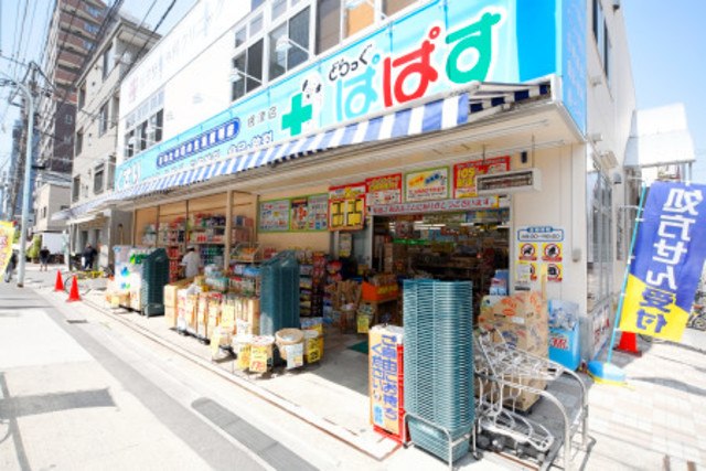 ドラックストア　どらっぐぱぱす根津店（ドラッグストア）まで351m
