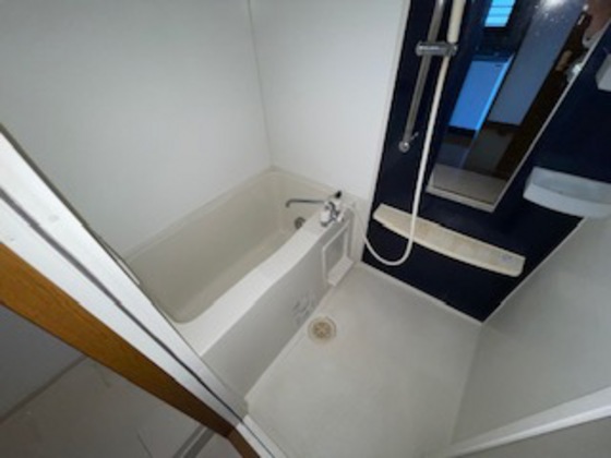 バス・シャワールーム　※別部屋の写真です