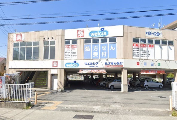 ドラックストア　ウエルシア堀之内店（ドラッグストア）まで300m
