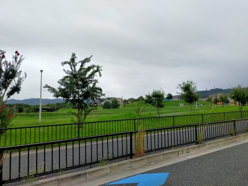 公園　寝屋川公園（公園）まで1591m