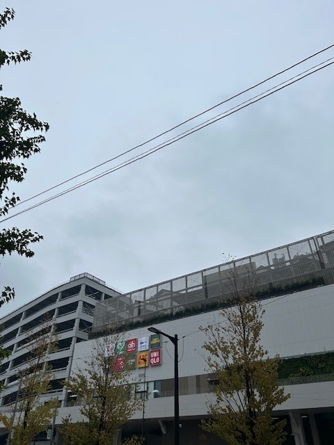 ショッピングセンター　ユニクロエミテラス所沢店（ショッピングセンター）まで551m