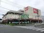 ホームセンター　島忠ホームズ港北高田店（ホームセンター）まで1445m