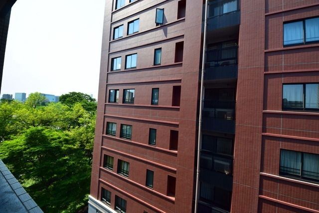 眺望　★緑がいっぱいけやきなみき通り沿いです★