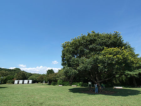 公園　本牧山頂公園（公園）まで1471m