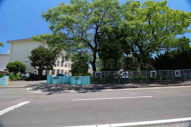小学校　宮崎市立檍小学校（小学校）まで318m