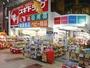 ドラックストア　スギ薬局扇町店（ドラッグストア）まで40m