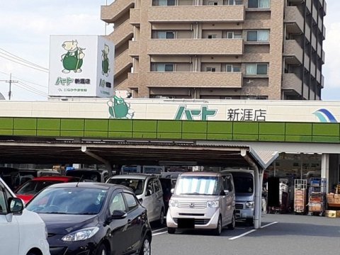 スーパー　なかやま牧場ハート 新涯店（スーパー）まで520m