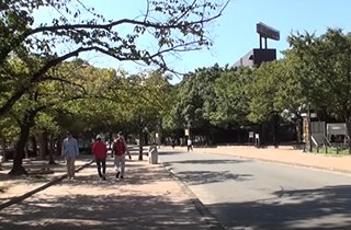 公園　長居公園（公園）まで730m