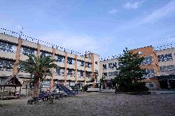 小学校　池島小学校（小学校）まで438m