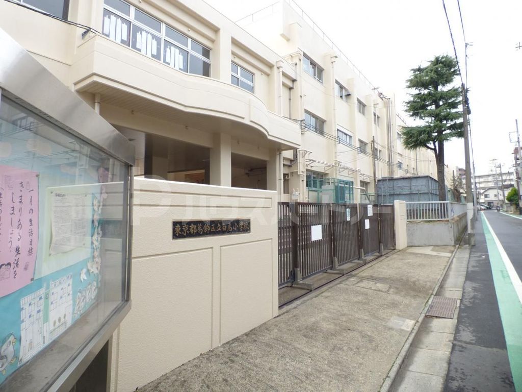 小学校　葛飾区立白鳥小学校（小学校）まで500m
