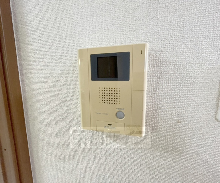アカシヤのその他写真