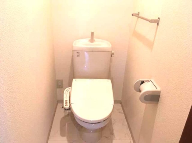 ヴィラグレイスAのトイレ写真