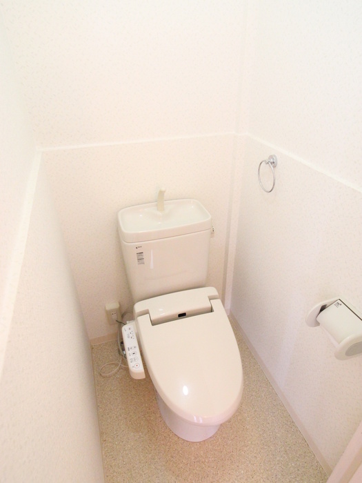 山野ハイツのトイレ写真