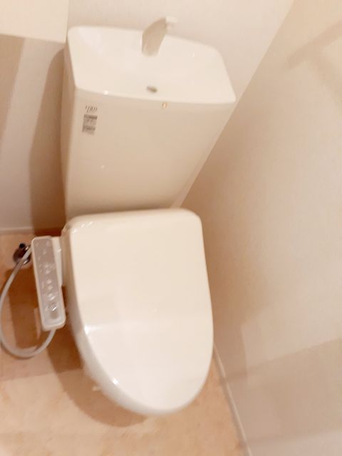 サージェ林 IIのトイレ写真