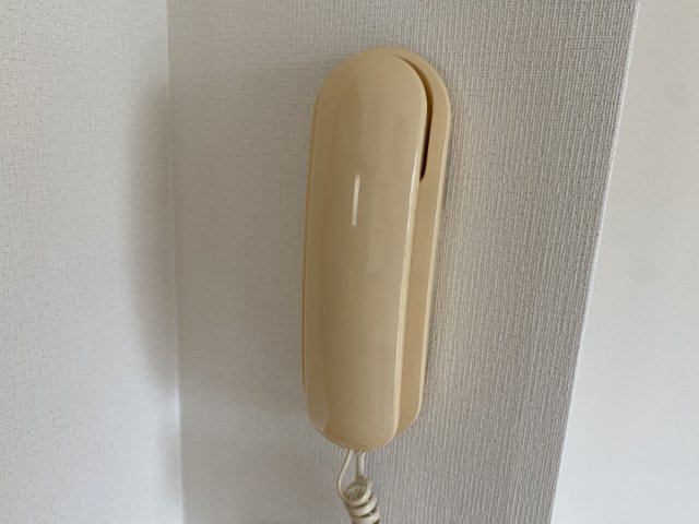 ファルネーゼ鵤のその他写真
