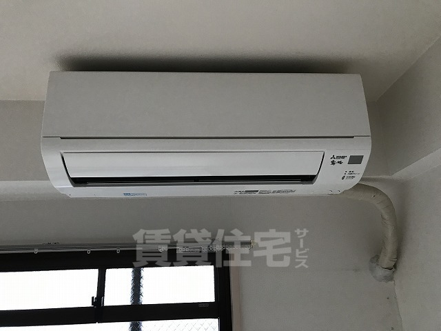 プラウデストのその他写真
