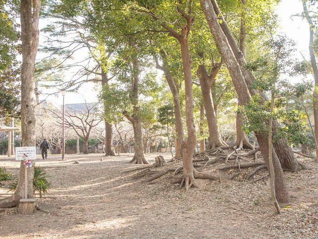 公園　松が丘緑地（公園）まで560m