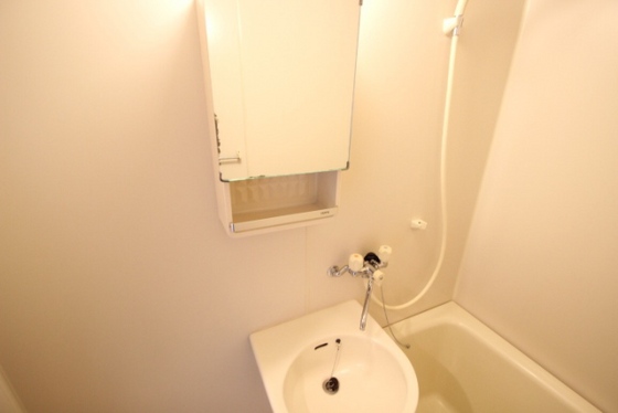 洗面設備　※別号室の写真です