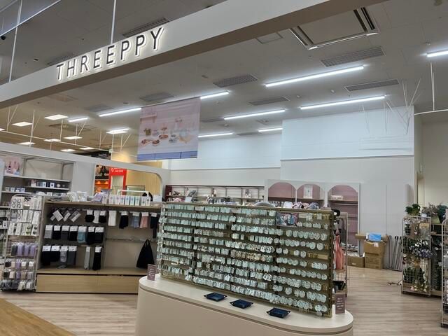 ショッピングセンター　ザ・ダイソー THREEPPY イオン東雲店（ショッピングセンター）まで243m