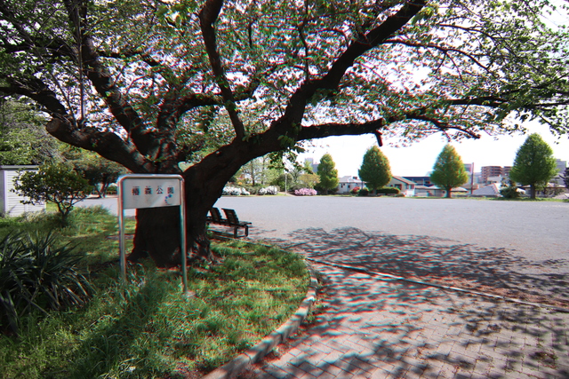 公園　椿森公園（公園）まで350m