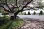 公園　椿森公園（公園）まで350m