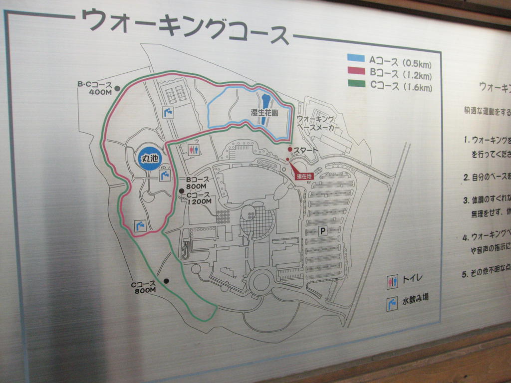 公園　とちぎ健康の森（公園）まで439m