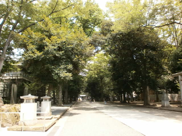 その他　大国魂神社社務所（その他）まで665m