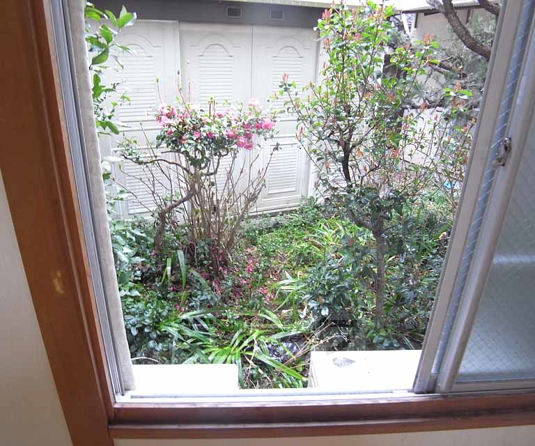 眺望　窓を開けると緑豊かな裏庭があります。