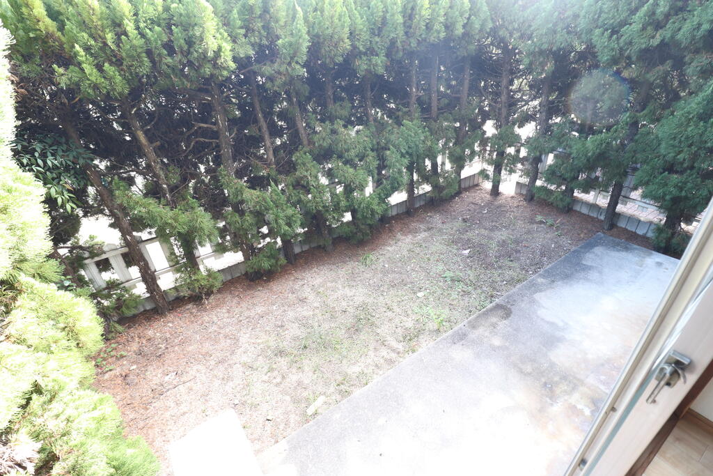 庭　専用のお庭