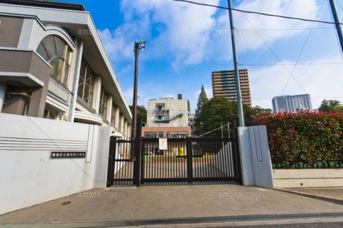 小学校　豊島区立南池袋小学校（小学校）まで1378m