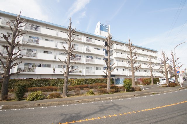 建物外観　分譲賃貸マンションです。