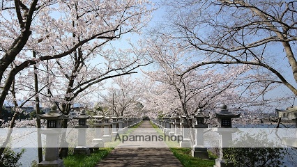 公園　竜桜公園（公園）まで1279m