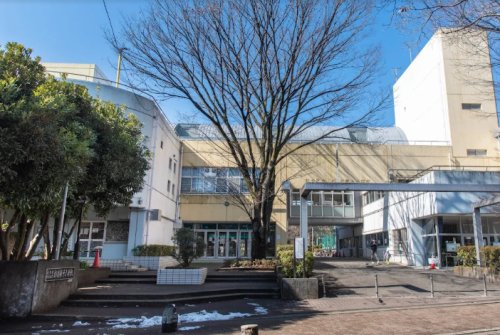 小学校　杉並区立杉並第十小学校（小学校）まで1184m