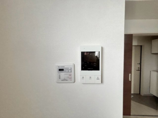 F asecia cerのその他写真