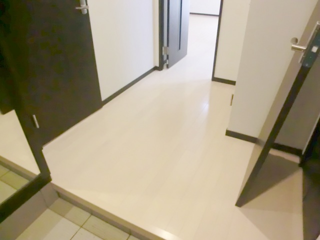 その他　玄関ホール部分です。