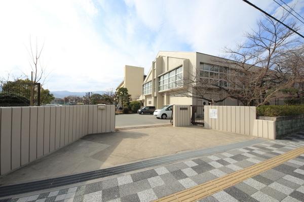 小学校　長岡京市立神足小学校（小学校）まで282m