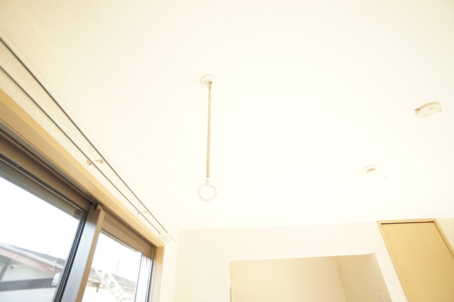 フィオーリ_その他_2