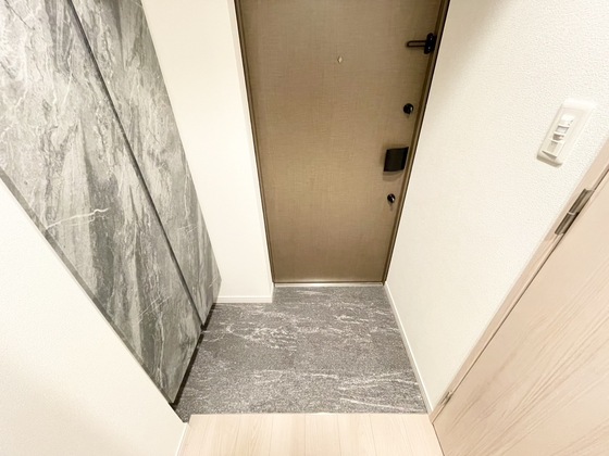 玄関　同仕様タイプ